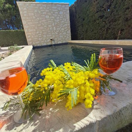 La Maison De Manon, 4-5Personnes, 75M2, Centre Village Avec Piscine Privee موسان ليه ألبيل المظهر الخارجي الصورة