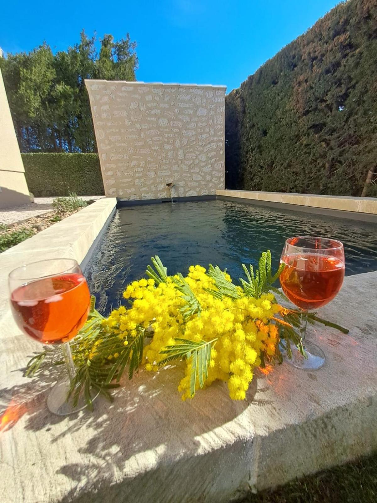 La Maison De Manon, 4-5Personnes, 75M2, Centre Village Avec Piscine Privee موسان ليه ألبيل المظهر الخارجي الصورة