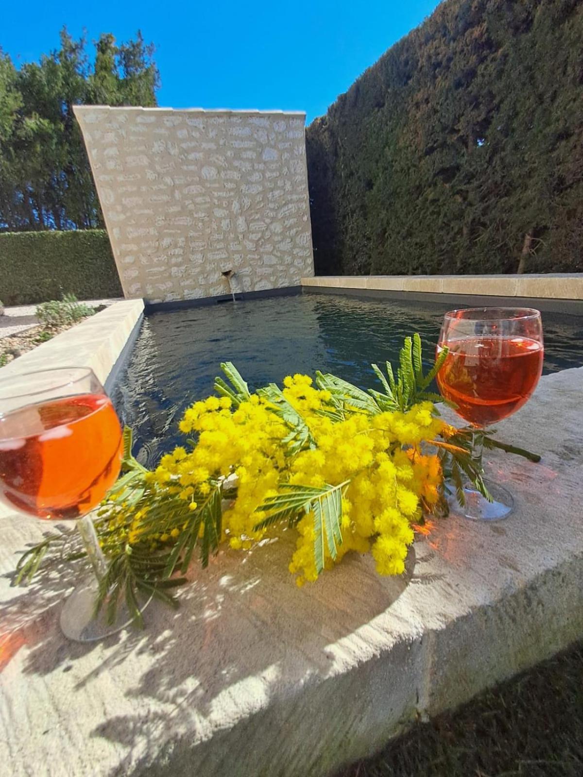La Maison De Manon, 4-5Personnes, 75M2, Centre Village Avec Piscine Privee موسان ليه ألبيل المظهر الخارجي الصورة